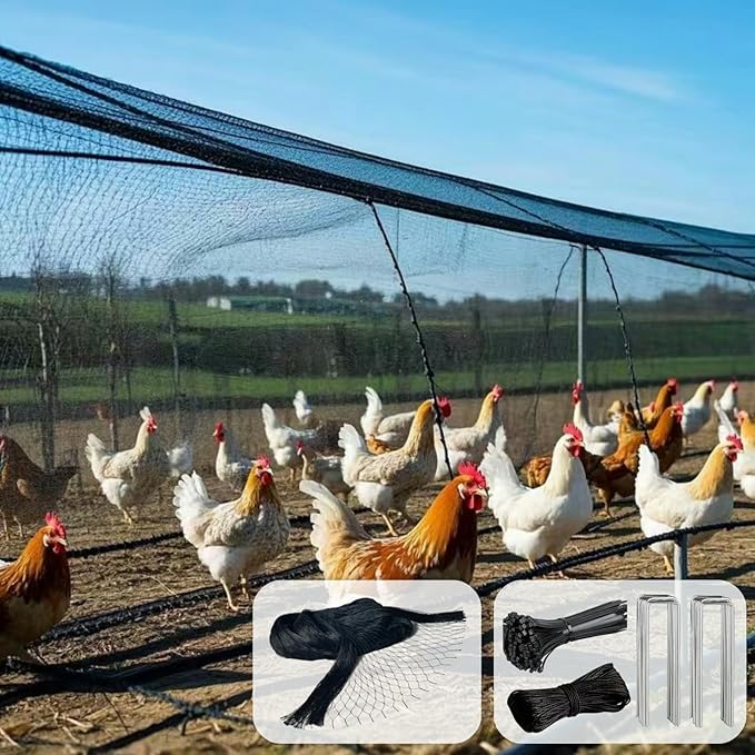 6 x 50 FT Bird Netting for Garden, 1" Square Mesh Size Heavy Duty Nylon Chicken Coop Netting for Blueberry Bushes, Fruit Trees and Vegetable Against Birds, Deer, Squirrels (6X50FT)