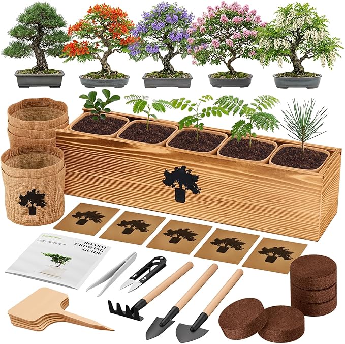 Bonsai Tree Kit - Complete Indoor Bonsai Starter Kit with 5 Unique Tree Seeds, Bonsai Tools - DIY Gardening Gift for Adults Women Men, Mom, Her, Friend (5 Bonsai Trees)