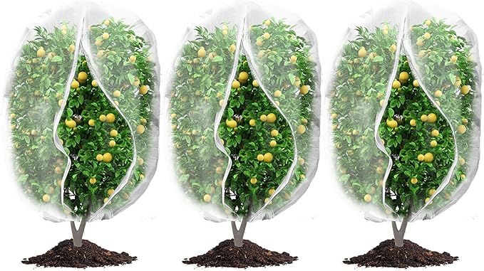 3Pcs Plant Covers from Insects, Bird Netting Barrier for Blueberry Bushes with Drawstring Zipper Mesh Garden Netting Fruit Tree Bags Plants Net Cage for Protect Tomato Vegetable Citrus, 3.3Ã5Ft