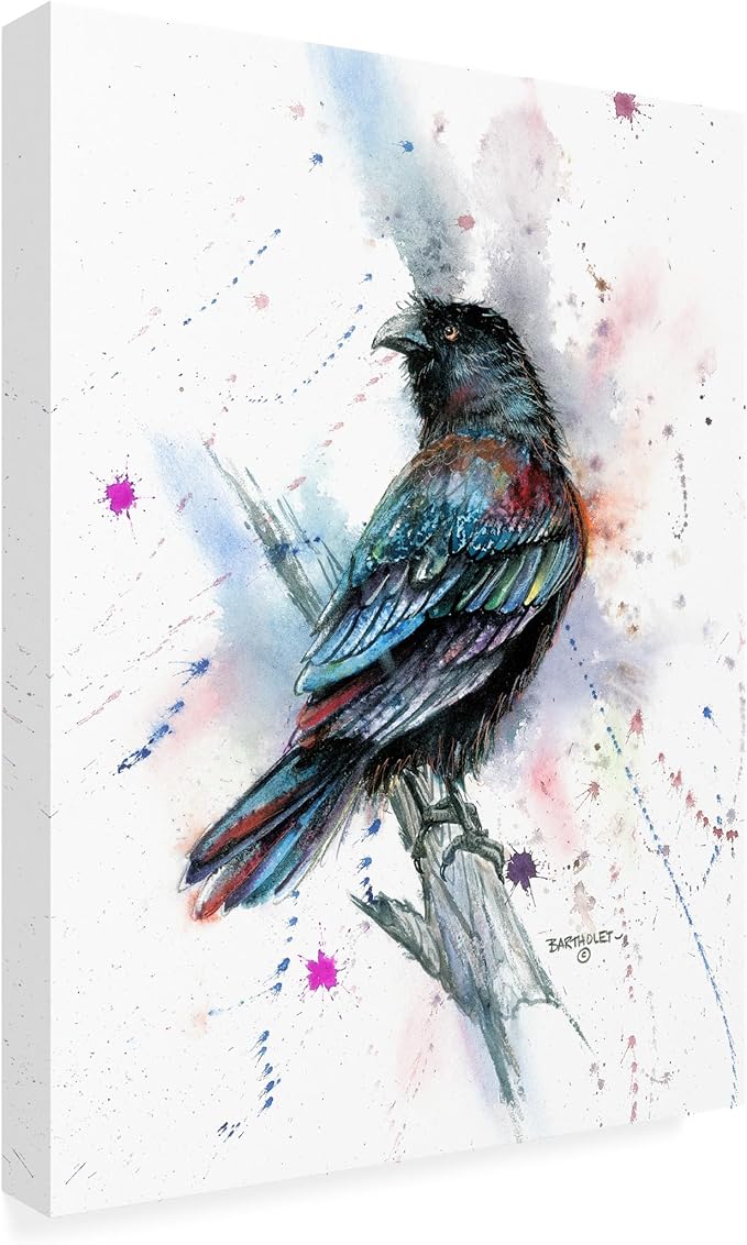 Outdoor Canvas Art - Dave Bartholet 'Stylized Raven' Wall Art for Outdoor Spaces, Patios, or Gardens by Trademark Fine Art