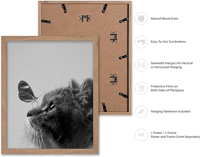 Poster Master Butterfly on Cat Print