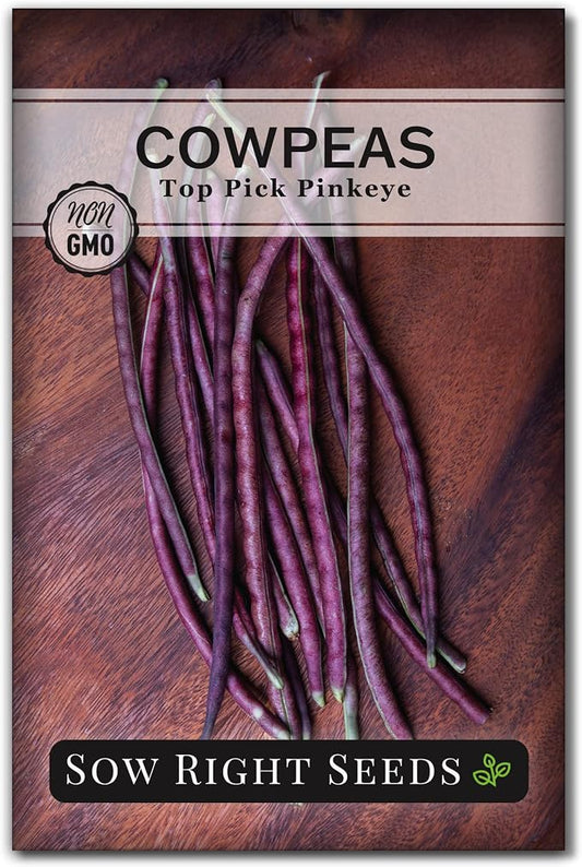 Sow Right Seeds - Top Pick Pinkeye Cowpea Seeds for Planting - Non-GMO Heirloom Packet with Instructions to Plant a Vegetable Garden - Market Favorite Bush Bean Variety - Interesting Pink Pods (1)
