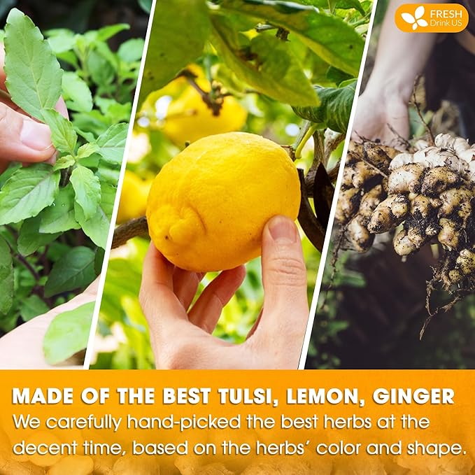 FreshDrinkUS, Premium 75 Tulsi Lemon Ginger Tea Bags, 100% Natural & Pure from Tulsi Holy Basil Leaves, Lemon and Ginger. Made with Natural Material Tea Bags. No Sugar, No Caffeine, Vegan.