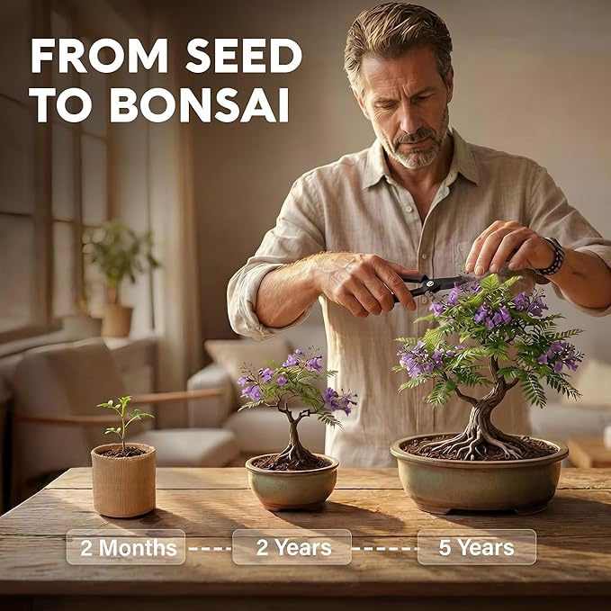 Bonsai Tree Kit Classic - 5X Unique Japanese Bonzai Trees | Complete Indoor Bonsai Starter Kits for Growing Trees – DIY Gardening Gifts for Mother, Women & Men, for Father's Day