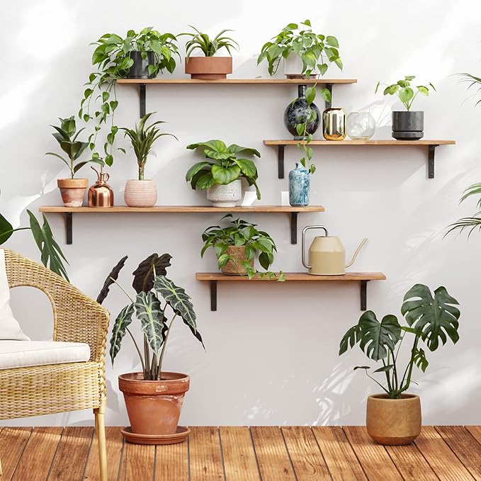 DINZI LVJ Long Wall Shelves, 23.6 Inch Wall Mounted Shelves Set of 2,