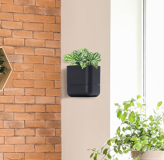 Phoenix Vine 6.5 Inch Wall Mounted Self-Watering Planter Pot