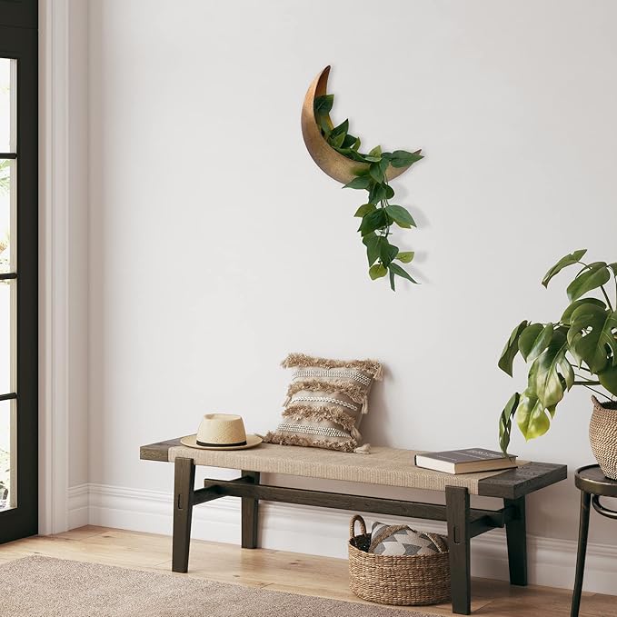 Moon Wall Planter