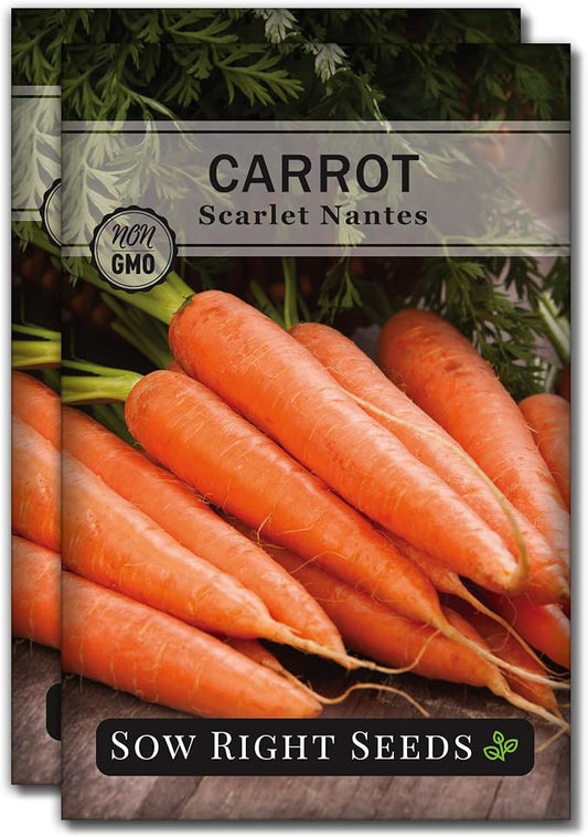 Sow Right Seeds - Scarlet Nantes Carrot Seed for Planting - Non-GMO Heirloom Packet with Instructions to Plant a Home Vegetable Garden - Indoors or Outdoor - Sweet and Vibrant Variety (2)