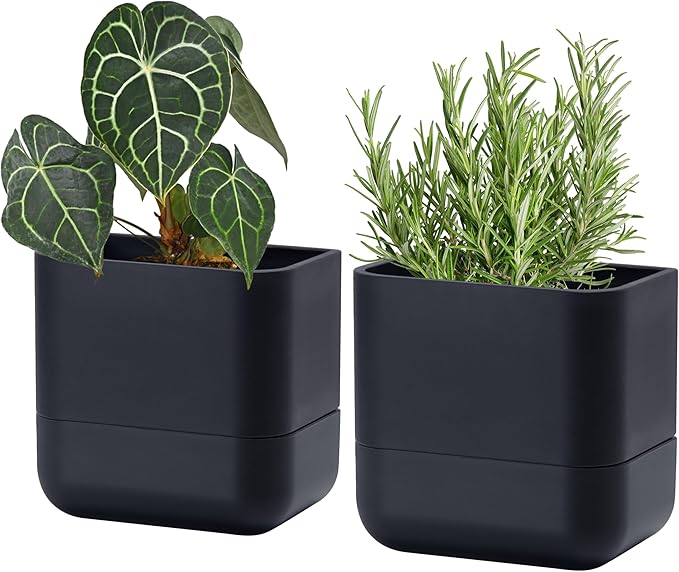 Phoenix Vine 6.5 Inch Wall Mounted Self-Watering Planter Pot