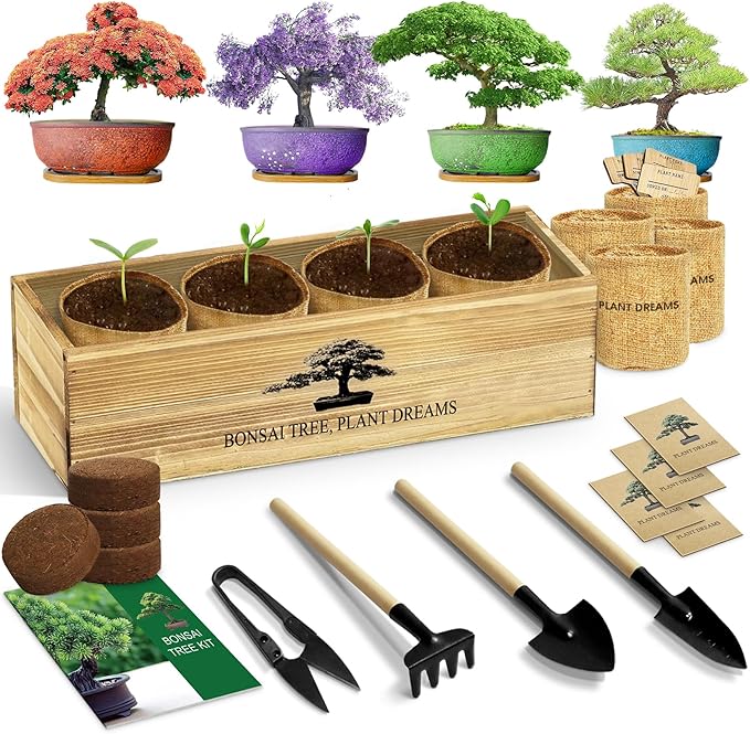 LUOJIBIE Bonsai Tree Kit, Complete Bonzai Tree Starter Kits, for Mom, Unique Christmas Birthday Gardening Gifts for Women Mom Men Grandkids, Crafts Hobby Kits
