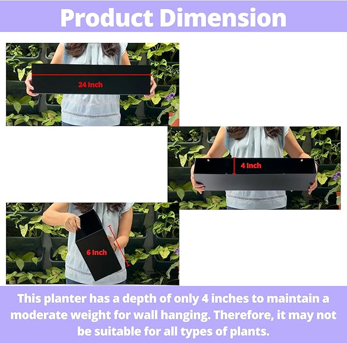 LaLaGreen Wall Planters for Outdoor Plants Carbon Steel Black Metal Hanging