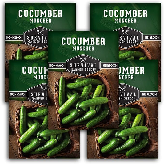 Muncher Cucumber Seeds for Planting | Burpless Variety with Smooth Skin for Snacking or Slicing â Survival Garden Seeds (5 Packs)