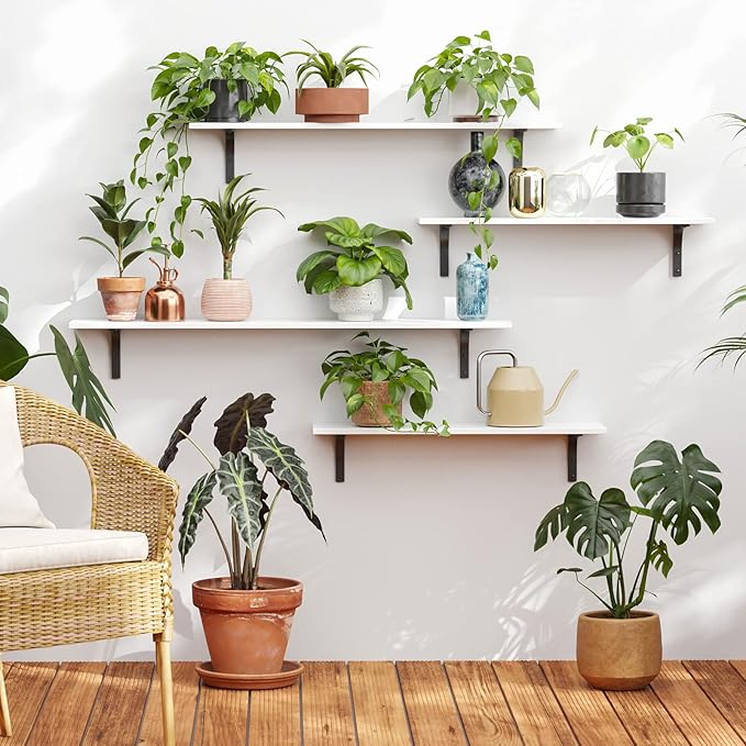 DINZI LVJ Long Wall Shelves, 55.1Inch Wall Mounted Shelves Set of 2, Extra