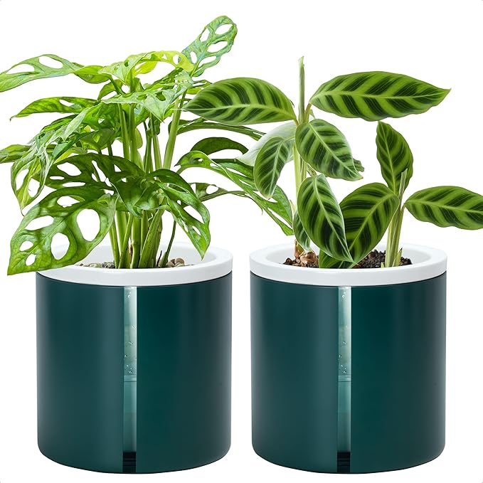 D'vine Dev 6 Inch Design Self Watering Planter for Indoor Plants, White Terracotta Pot with Teal Cylinder Glass Cup, Set of 2, 37-Y-B-5