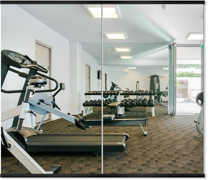 Delma Home Gym Mirror