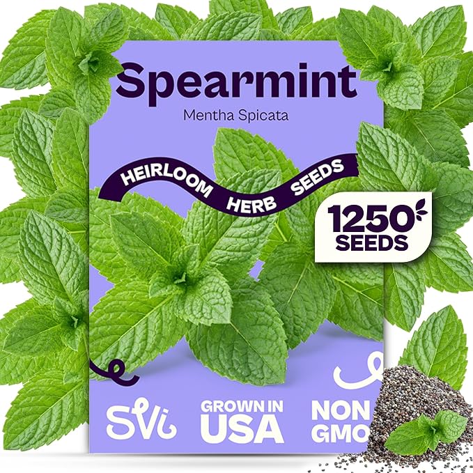 SVI 1250 Spearmint Seeds (Mentha spicata) â Mint Green Seed Packets, Aromatic Mint Leaves Fresh for Spearmint Tea, Natural Herbs â Heirloom Herb Seeds Indoor Herb Garden & Outdoor Garden, Containers