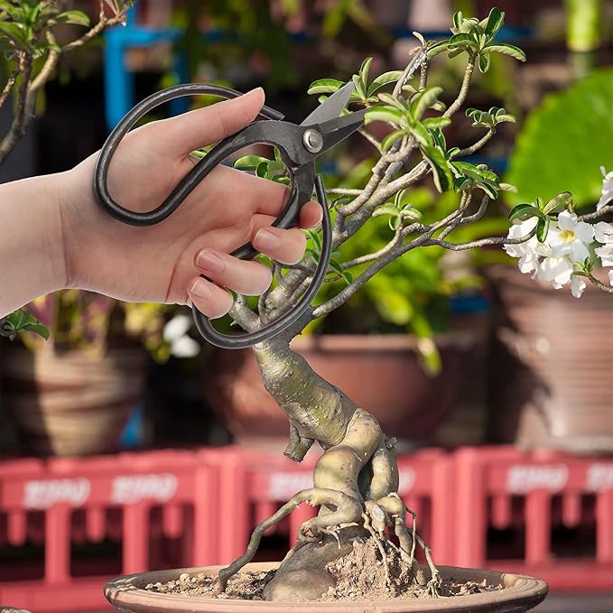BambooMN Bonsai Basics Set - 7.2" Trimming Shears & 7" Heavy Duty Butterfly Shear - 3 Sets