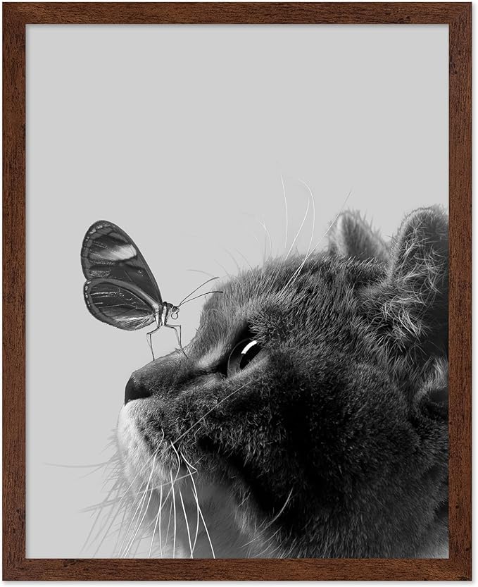 Poster Master Butterfly on Cat Print
