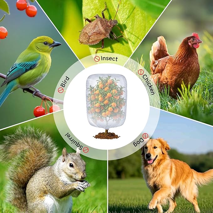 Bird Netting for Blueberry Bushes, 3 Pack 4.9 X 3.2 Ft Cicada Netting for Fruit Trees, Blueberry Bush Netting Cover, Protective Garden Plant Covers for Tomatoes, Flowers, Vegetables