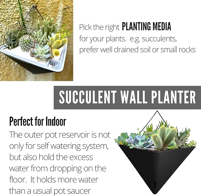 LaLaGreen Wall Planters