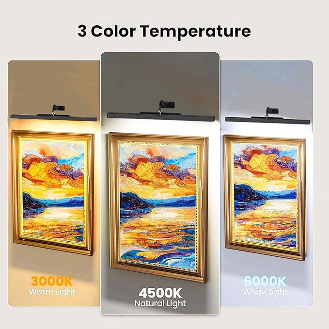 24 Inch Picture Light