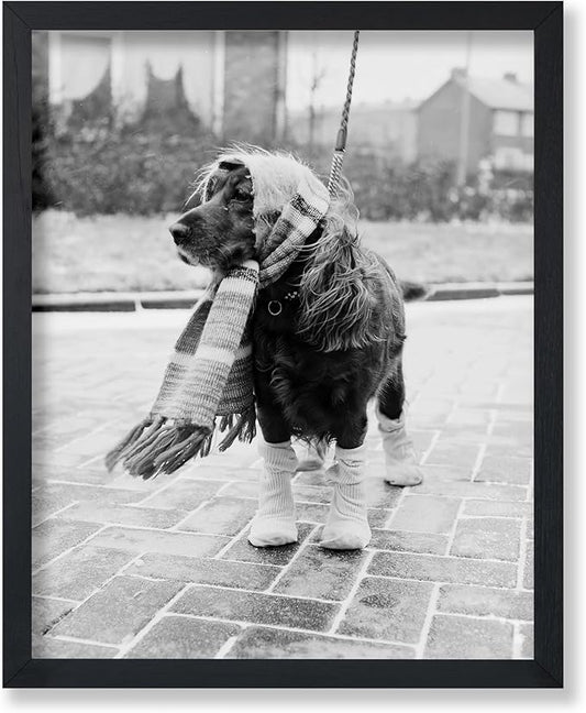 Poster Master Vintage Dog Dressed
