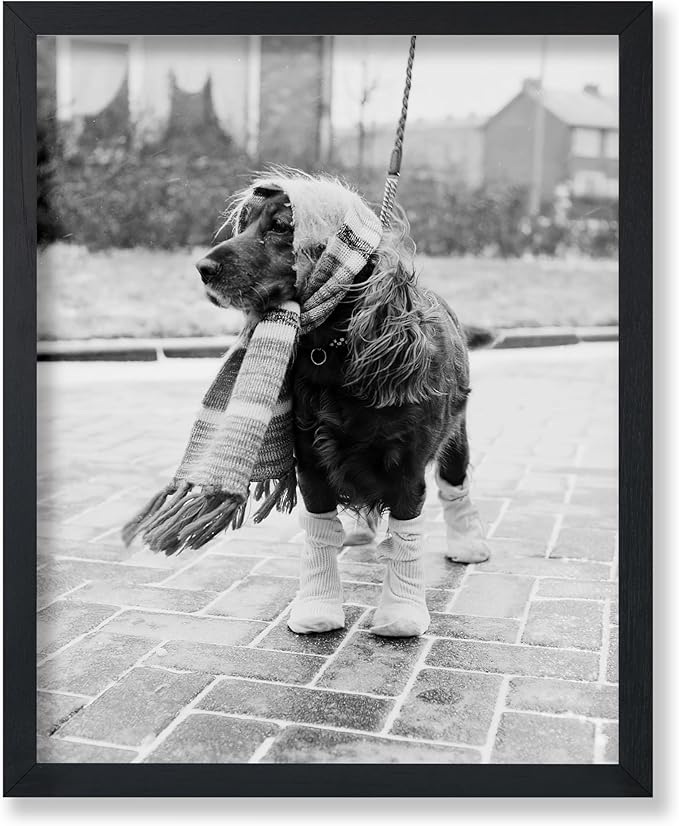 Poster Master Vintage Dog Dressed