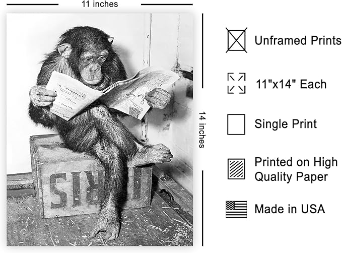 Poster Master Chimpanzee Poster