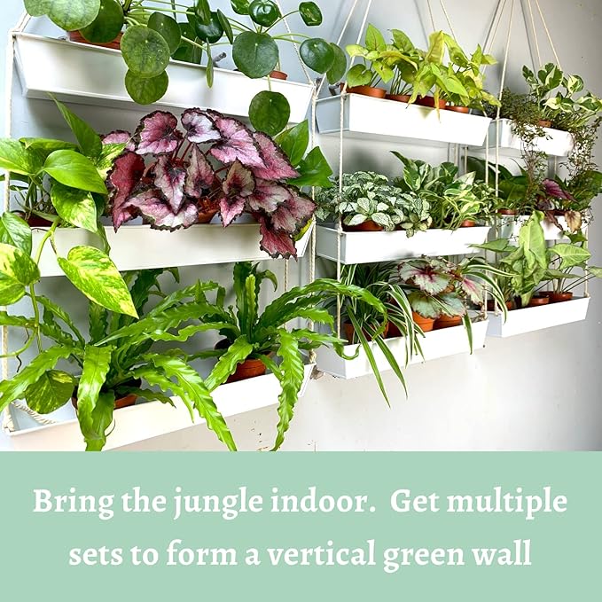 LaLaGreen Hanging Wall Planter