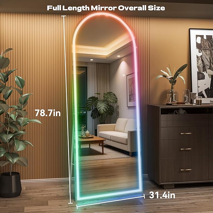 Hasipu Arch Full Length Mirror 79 x 32 in