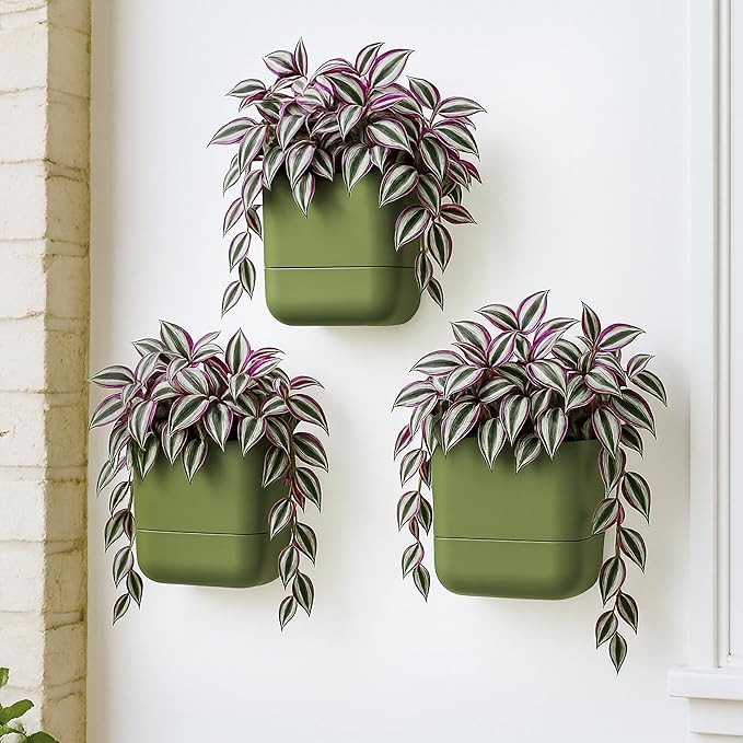 Phoenix Vine 6.5 Inch Wall Mounted Self-Watering Planter Pot