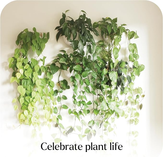 Make Good Virgo Wall Planters