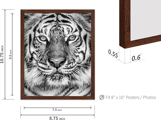 Poster Master Tiger Print