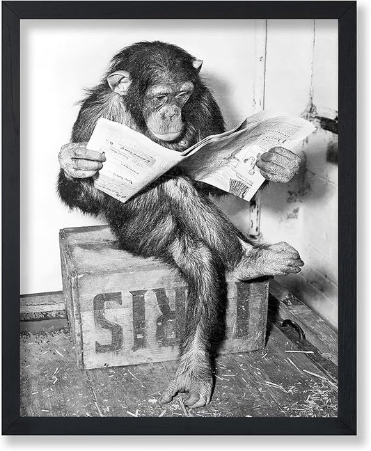 Poster Master Vintage Photograph Poster