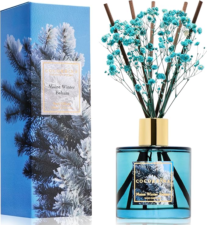 COCORRÍNA Reed Diffuser - Maine Winter Balsam Reed Diffuser Set with 8 Sticks & Preserved Baby's Breath, Reed Diffuser for Home Bathroom Shelf Decor