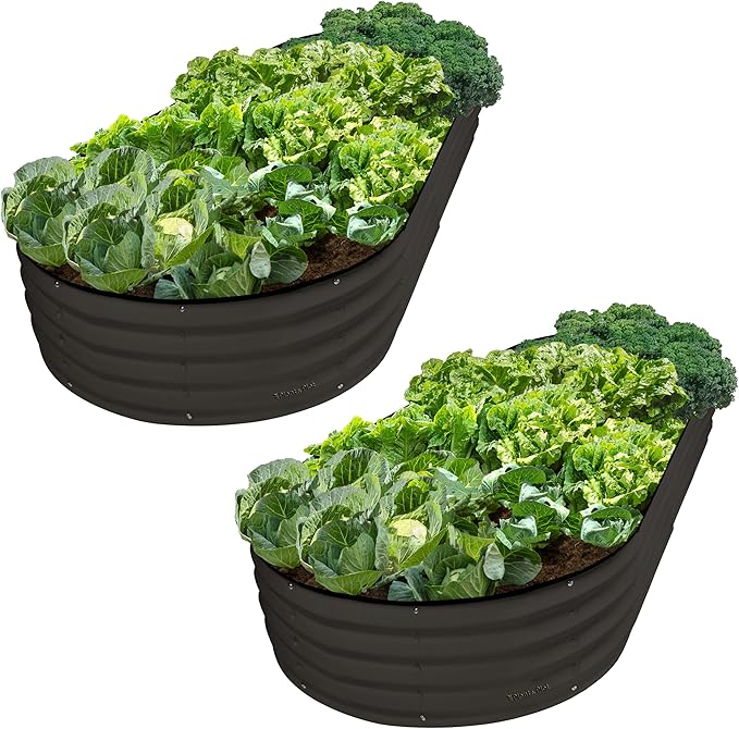 Plant & Plot Galvanized Raised Garden Beds Outdoor // 8Ã4Ã1 ft (2-Pack) Planter Raised Beds for Gardening, Vegetables, Flowers // Large Metal Garden Box // Patented Tool-Free Design (Black)