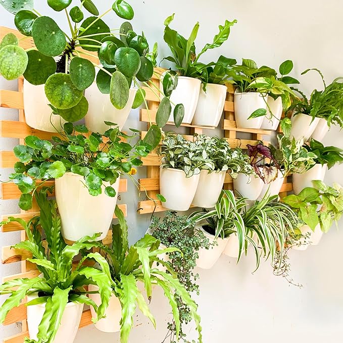LáLáGreen Wall Planters for Indoor Plants
