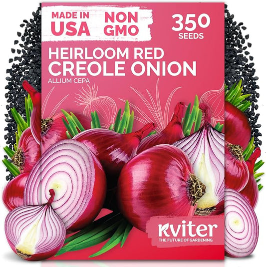 KVITER 350 Red Creole Onion Seeds (Allium Cepa) - Cebolla Roja, Short Day Kitchen Onion for Fresh Cooking, Heirloom Seed Packets- Vegetable Seeds for Outdoor Vegetable Garden, Containers, Greenhouses