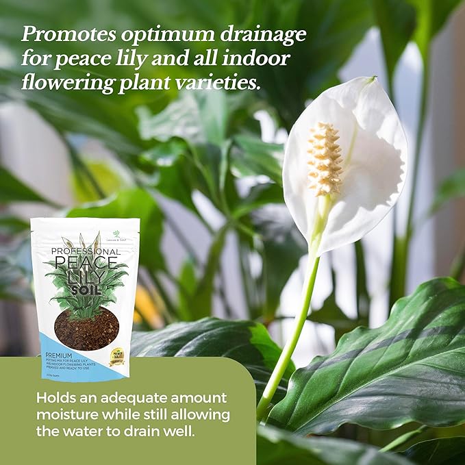 Professional Peace Lily Potting Soil Mix Large 2.2 Quarts Ready to Use, Premium Nutrient-Rich Blend for Indoor Peace Lily Plants, Peat Moss Coco Coir Perlite Dolomite, Well-Draining Soil Made in USA