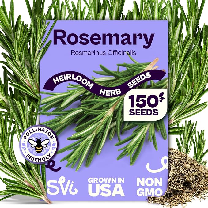 SVI 150 Rosemary Seeds for Planting (Rosmarinus officinalis) â Aromatic Herbs, Harvest for Fresh or Dried Rosemary Leaves â Heirloom Herb Seeds for Outdoor & Indoor Garden, Containers