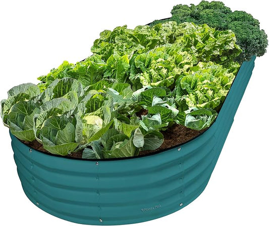 Plant & Plot Galvanized Raised Garden Beds Outdoor // 8Ã4Ã1 ft Planter Raised Beds for Gardening, Vegetables, Flowers // Large Metal Garden Box // Patented Tool-Free Design (Turquoise)