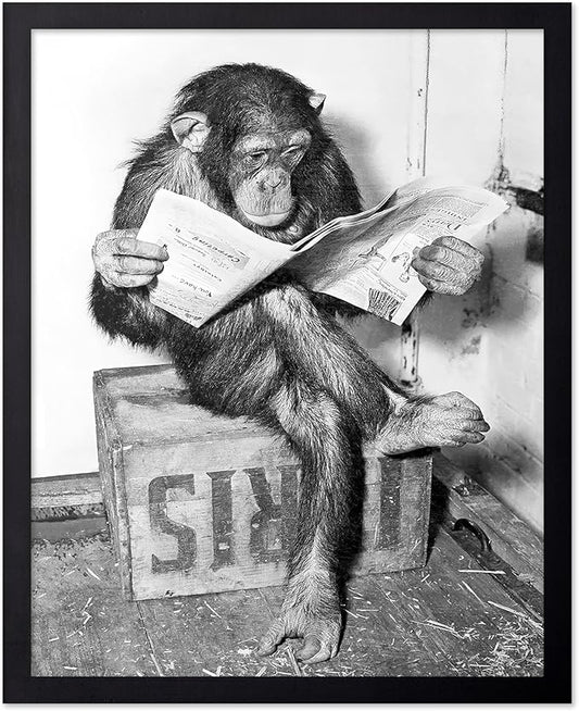 Poster Master Vintage Photograph Poster