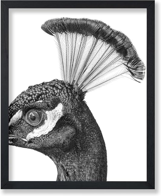 Poster Master Vintage Peacock Poster