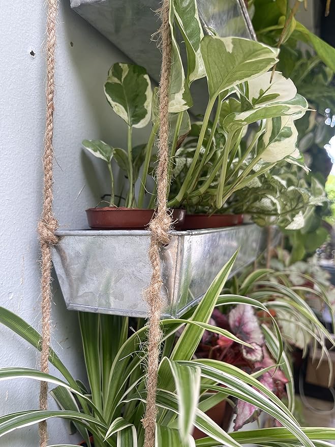 LaLaGreen Wall Hanging Planter