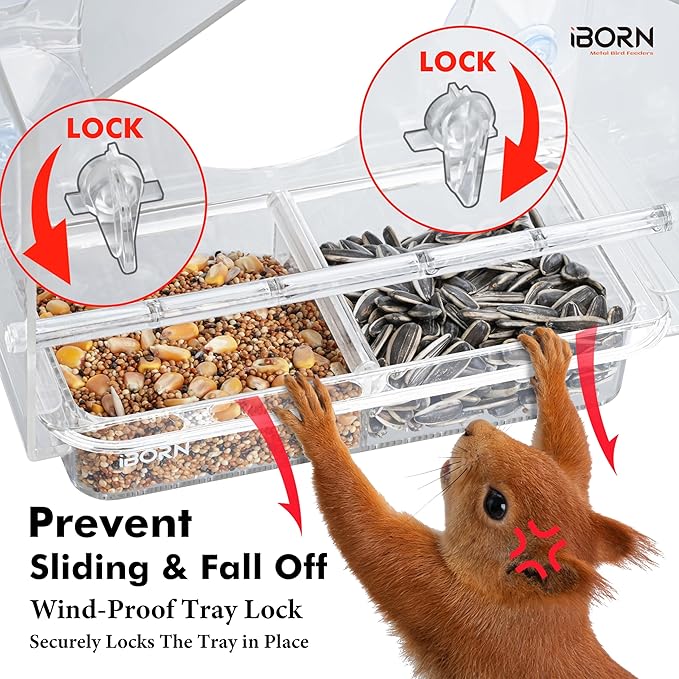 iBorn 2026 New Window Bird Feeders for Outdoors Wind-Proof Tray Lock,Cardinal Bird Feeder with Strong Suction Cups for Window Birds Watching, Chewproof PC, for Parent &Child
