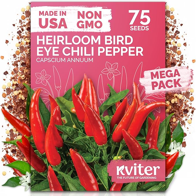 KVITER 75 Birds Eye Chili Pepper Seeds for Planting (Capsicum Annuum) â Thai Chili Red Pepper, ExtraâHot 50K-100K SHU, HighâYield Bush â Heirloom Vegetable Seeds for Outdoor & Indoor Garden