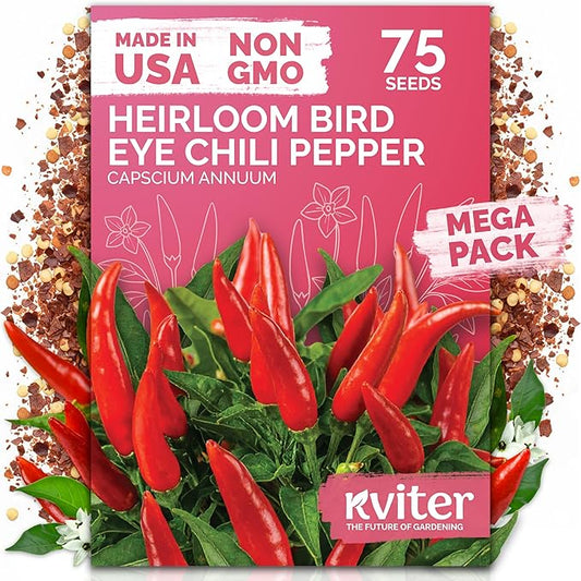 KVITER 75 Birds Eye Chili Pepper Seeds for Planting (Capsicum Annuum) â Thai Chili Red Pepper, ExtraâHot 50K-100K SHU, HighâYield Bush â Heirloom Vegetable Seeds for Outdoor & Indoor Garden