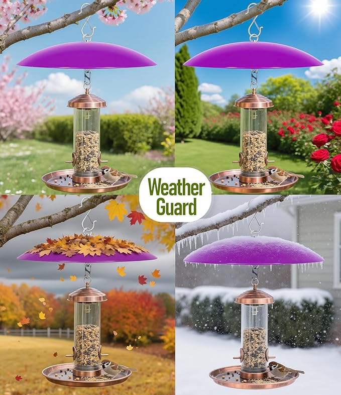 13" Bird Feeder Rain Cover,Bird House Dome,Hummingbird Feeder Guard,Proof for Shepherd's Hook Outdoors,Smart Birds Feeder's Umbrella(Purple), 1Pack