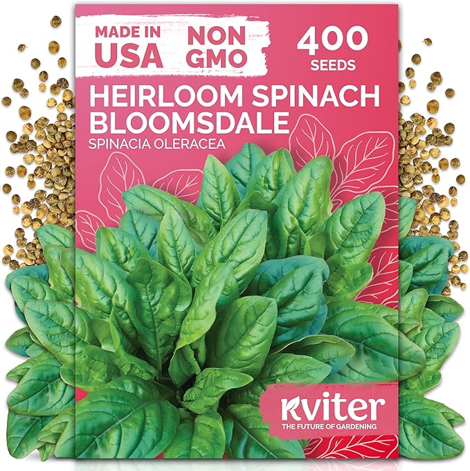 KVITER 400 Bloomsdale Spinach Seeds (Spinacia oleracea) â Non-GMO & Heirloom, Heat Tolerant, Cut and Come Again â Spinach Vegetable Seeds for Planting in Outdoor & Indoor Garden, Containers