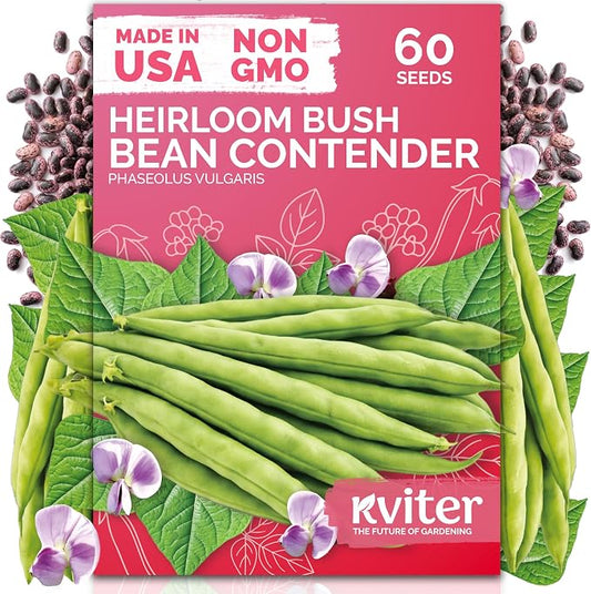 KVITER 60 Contender Bush Bean Seeds (Phaseolus Vulgaris) - Contender Beans, Stringless Green Bean, Early Days Harvest, Bush Beans Seed Packets - Heirloom Vegetable Seeds for Outdoor Garden, Containers